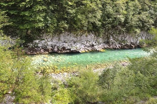 Piękny Widok Rzekę Tarę Łza Europy Czarnogóra — Zdjęcie stockowe