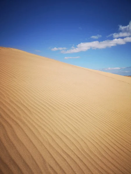 Natural Reserve Dunes Maspalomas Gran Canaria Spain — Stock Photo, Image