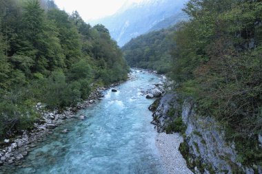 Soca Vadisi, Slovenya 'daki Soca Nehri' nin zümrüt turkuaz şeffaf suyu