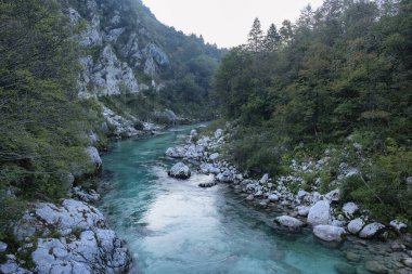 Soca Vadisi, Slovenya 'daki Soca Nehri' nin zümrüt turkuaz şeffaf suyu