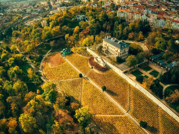 aerial view of Grebovka park in Prague