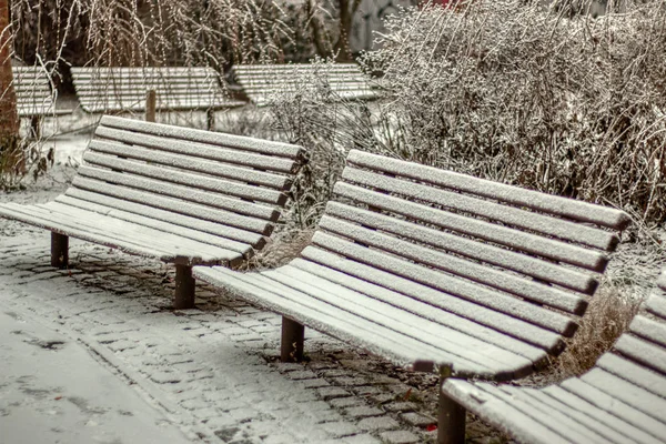 Güzel karla kaplı park bankları