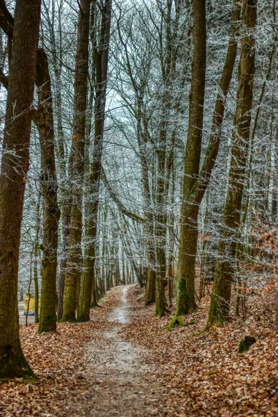 Ürkütücü korku gecesi orman yolu