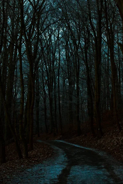 Spettrale orrore notte foresta sentiero — Foto Stock