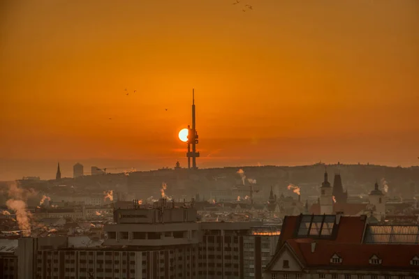 Prag TV kulesi gün doğumunda wirh çatıları ve kuşlar uçuşuyor