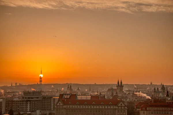 Prag TV kulesi gün doğumunda wirh çatıları ve kuşlar uçuşuyor — Stok fotoğraf