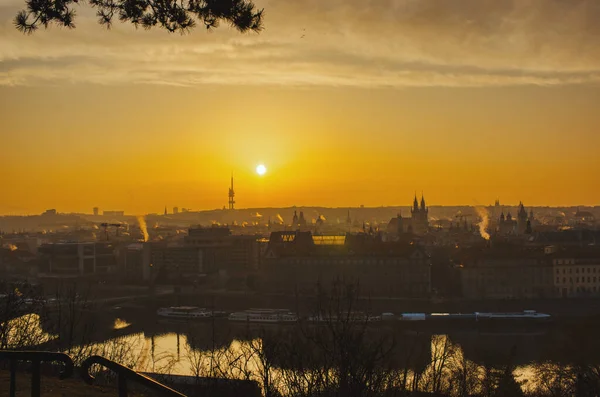 Prague tv tower at sunrise wirh roofs and birds flying — Stock Photo, Image