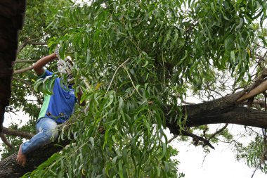 Burdwan Kasabası, Purba Bardhaman Bölgesi, Batı Bengal / Hindistan - 21.05.2020: Burdwan 'da Kasırga Amphan sırasında üç konut evini ağır şekilde yıkan sivil savunma görevlileri.