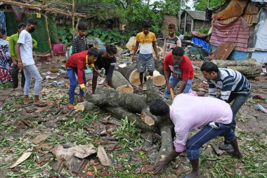 Burdwan Town, Purba Bardhaman District, West Bengal / India - 21.05.2020: The civil defence officials trying to remove branches of trees fallen heavily crushing three residential houses during Cyclone Amphan in Burdwan town. clipart