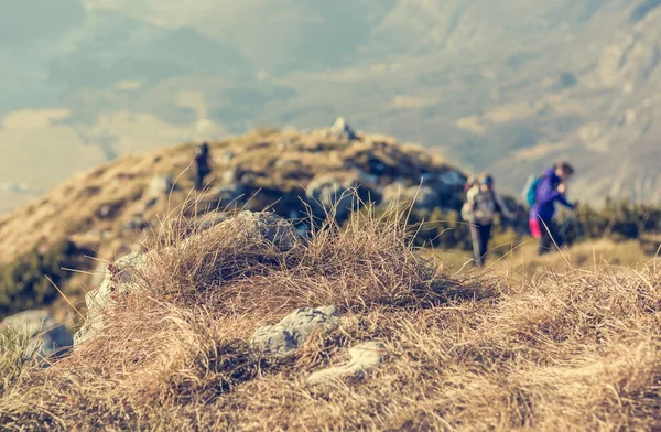 Menschen besteigen einen Berg. — Stockfoto