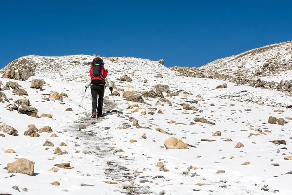 Kvinna trekking i snöiga berg. — Stockfoto
