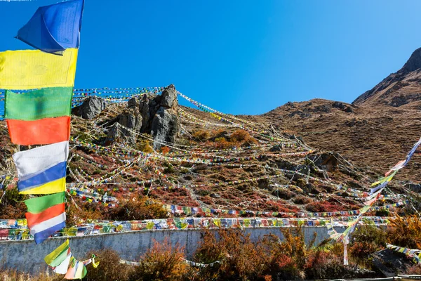 Muktinath kutsal yerden çevreleyen birçok Budist dua bayrakları. — Stok fotoğraf