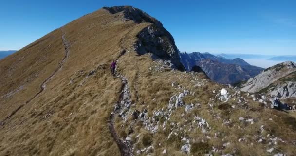 Senderista femenina ascendiendo hacia el pico . — Vídeos de Stock