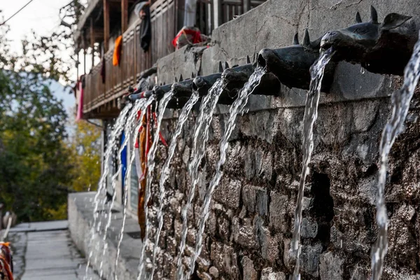Fonte de parede, água que flui através de bicos em forma de animal . — Fotografia de Stock