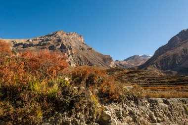 Sonbaharda dağ manzarası.