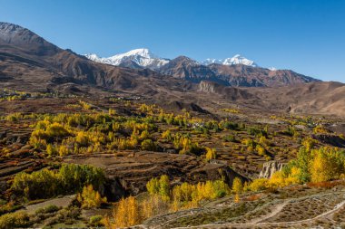Sonbaharda dağ manzarası.