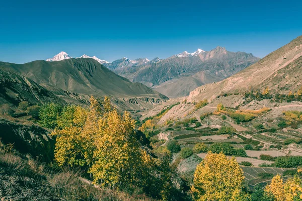 Valle di montagna con campi terrazzati vicino alla città di Jhong . — Foto Stock