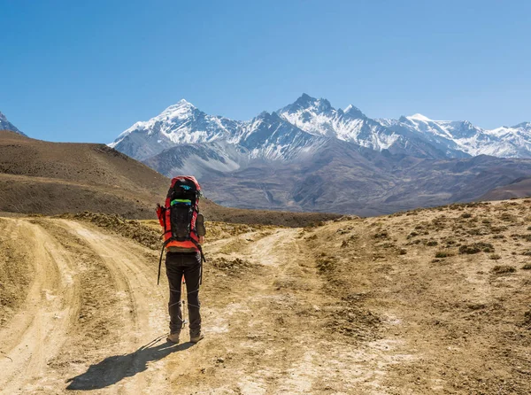 Trekker solitario su un incrocio di due strade verso le montagne . — Foto Stock