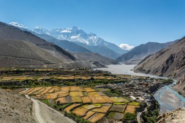 Teraslı alanları çevreleyen Kagbeni Köyü.