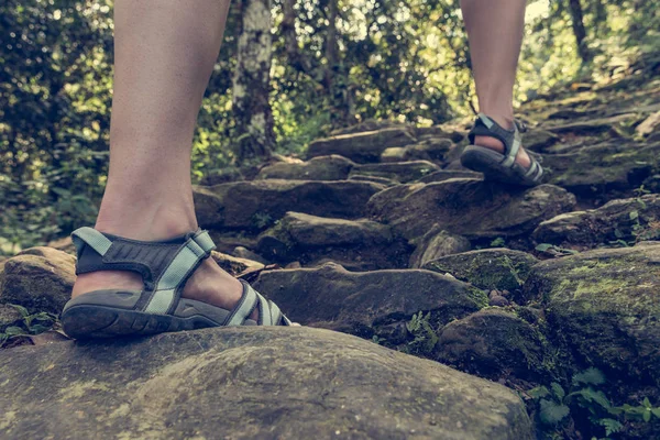 Nahaufnahme weiblicher Beine in Sandalen, die Waldtreppe hinauf. — Stockfoto