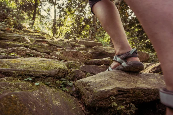 Fechar as pernas femininas usando sandálias escada da floresta ascendente . — Fotografia de Stock