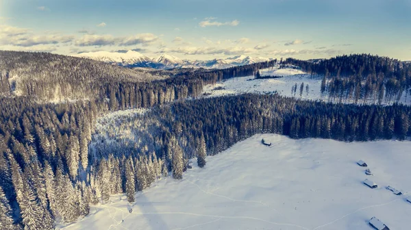 Letecký pohled na hory nad zimní les. — Stock fotografie
