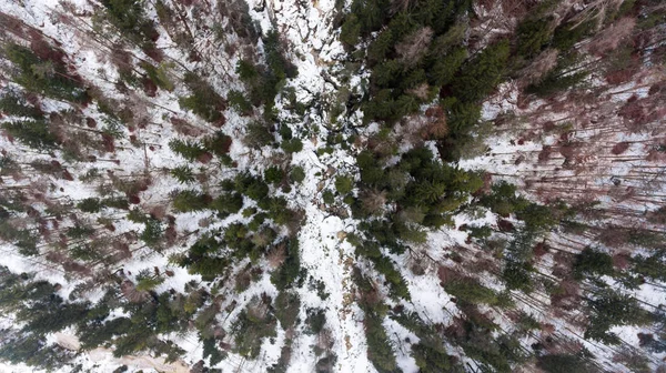 Aeriel view vintern skog. — Stockfoto