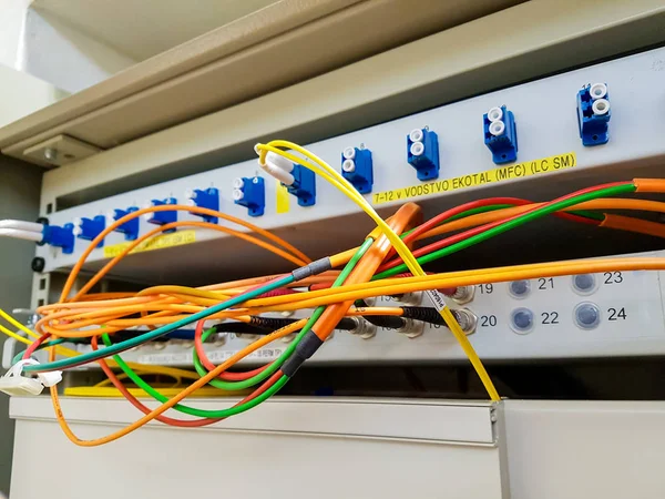 Fecho do cabo de fibra óptica conectado ao interruptor . — Fotografia de Stock