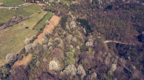 Vista aérea del campo montañoso con campos listos para sembrar . — Foto de Stock