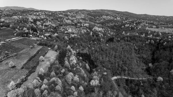 Aerial view of hilly countryside with fields ready for seeding. — Stock Photo, Image