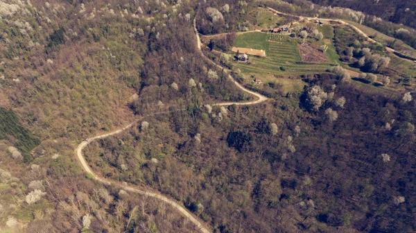 Weg uitharding door het voorjaar bos. — Stockfoto