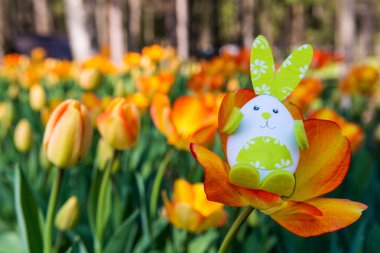 Sevimli tavşan oyuncak hidding turuncu Lale arasında.