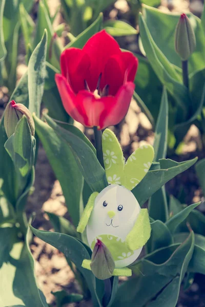 Roztomilý zajíček hračka hidding mezi červené tulipány. — Stock fotografie