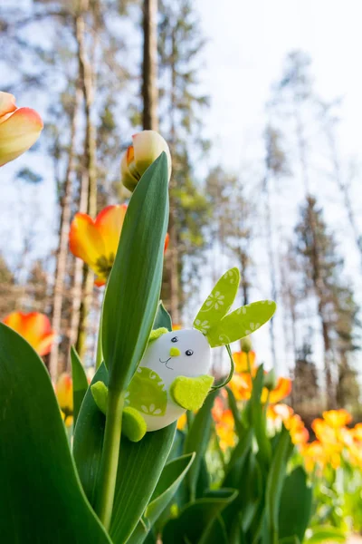 Roztomilý zajíček hračka hidding mezi tulipány. — Stock fotografie