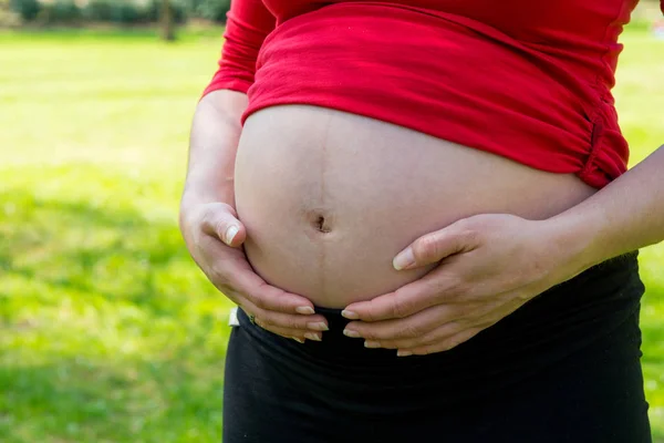 Nahaufnahme von Schwangerschaftsbauch. — Stockfoto