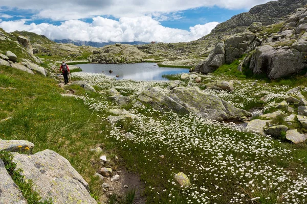 Ženské trekker pěšky podél horské jezero. — Stock fotografie