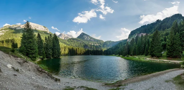 Panorama du lac entouré par la forêt . — Photo