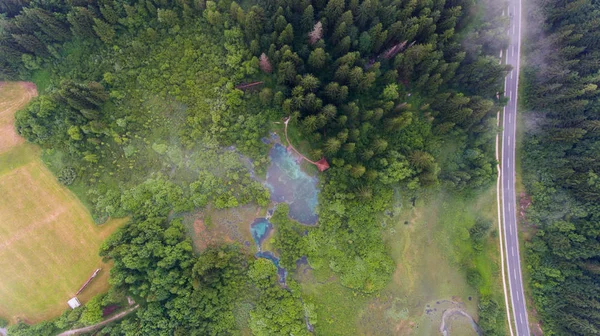 Aerial view of a forest with lake. — Stock Photo, Image