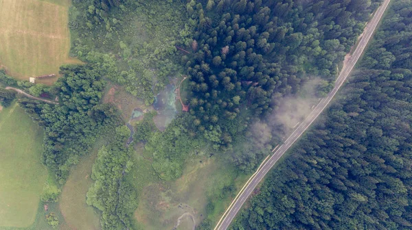 Vista aérea de uma floresta com lago. — Fotografia de Stock