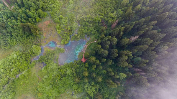 Vista aérea de uma floresta com lago. — Fotografia de Stock