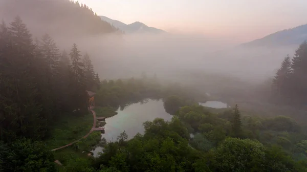Brume matinale s'élevant au-dessus du lac forestier . — Photo