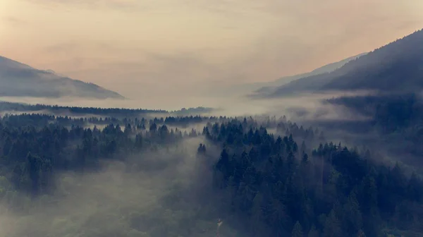 Vista aérea niebla flotando a través de un valle . — Foto de Stock