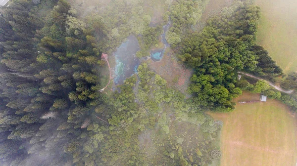 Luftaufnahme eines Waldes mit See. — Stockfoto
