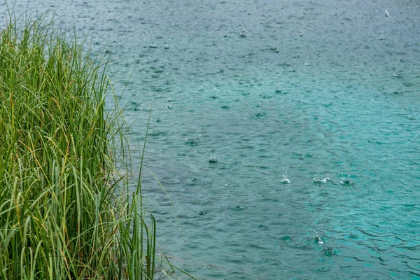 Gocce di pioggia sulla superficie del lago . — Foto Stock