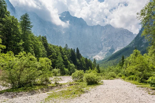 Sentiero che attraversa la valle della montagna . — Foto Stock
