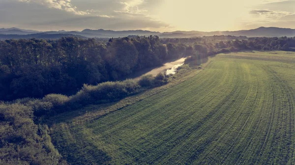 Vue aérienne de la rivière se tordant à travers les champs au coucher du soleil . — Photo