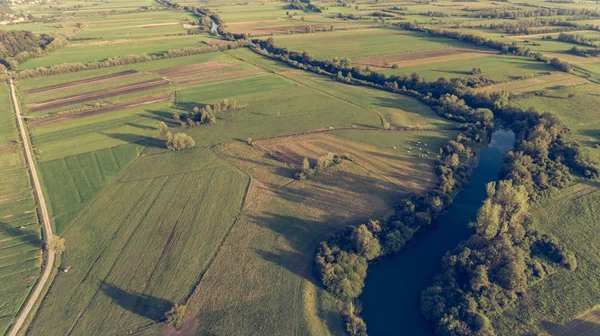 Aerial view of river bending across fields at sunset. — Stock Photo, Image