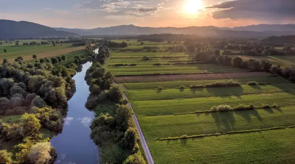 Vue aérienne de la rivière se tordant à travers les champs au coucher du soleil . — Photo