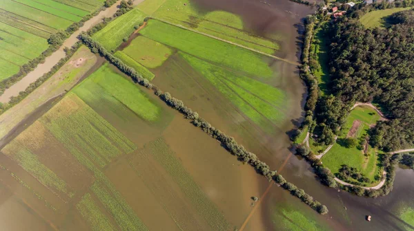 Aerial view of flooded fields.