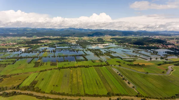 Aerial view of flooded fields. — Stock Photo, Image